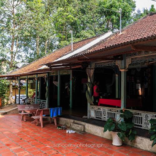 Truc Mai Homestay